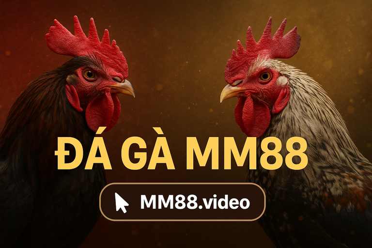 Đá Gà MM88: Đắm Chìm Trong Những Trận Chiến Kịch Tính và Cơ Hội Đổi Đời Cùng Các Kê Thủ 2 Bí quyết chinh phục đá gà MM88 và cơ hội đổi đời
