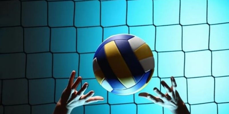 Ty Le Ca Cuoc Kèo Bóng Chuyền Luôn Hấp Dẫn Và Thu Hút 1 ty le ca cuoc 1